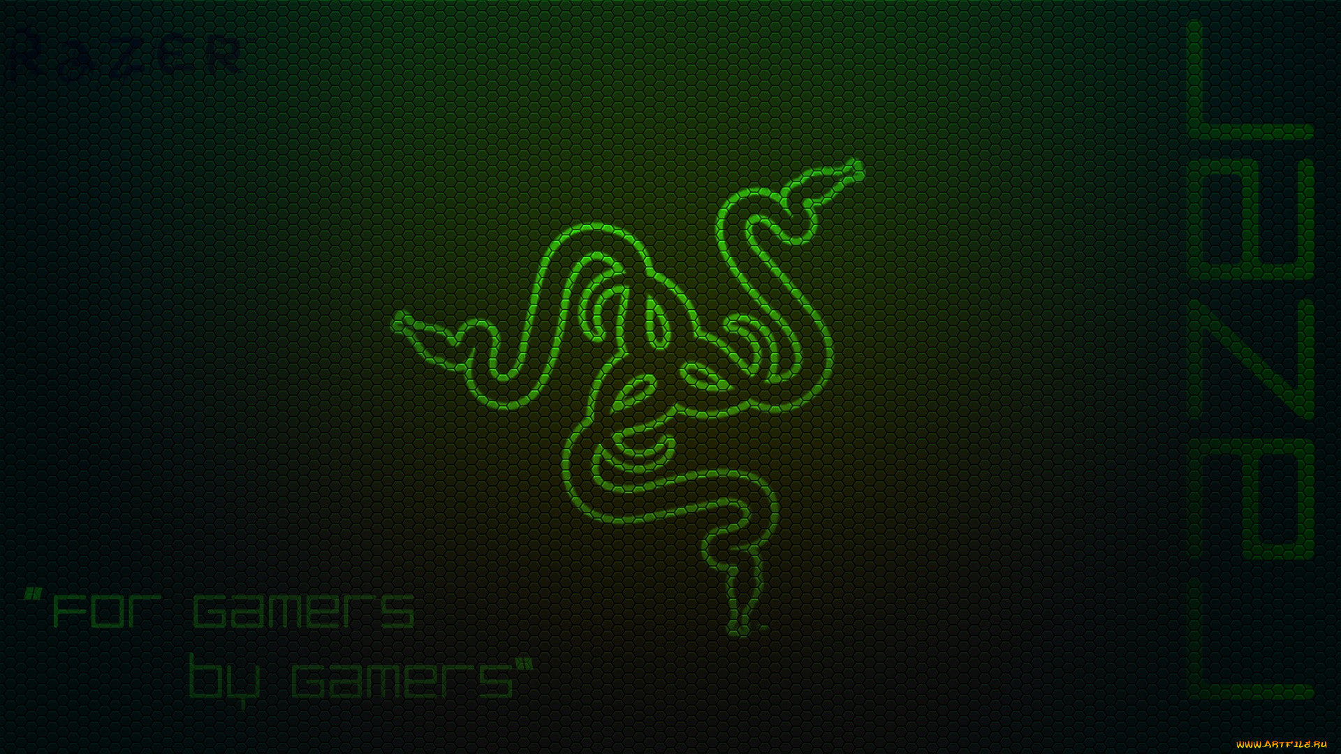 , razer, , 